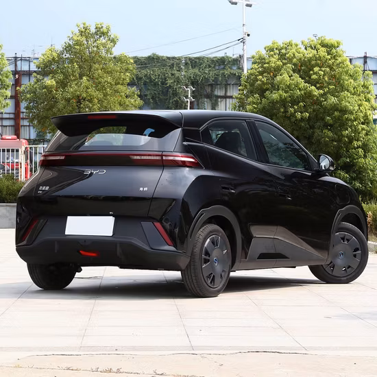 良い価格中国山電気自動車新車ミニカー Byd EV